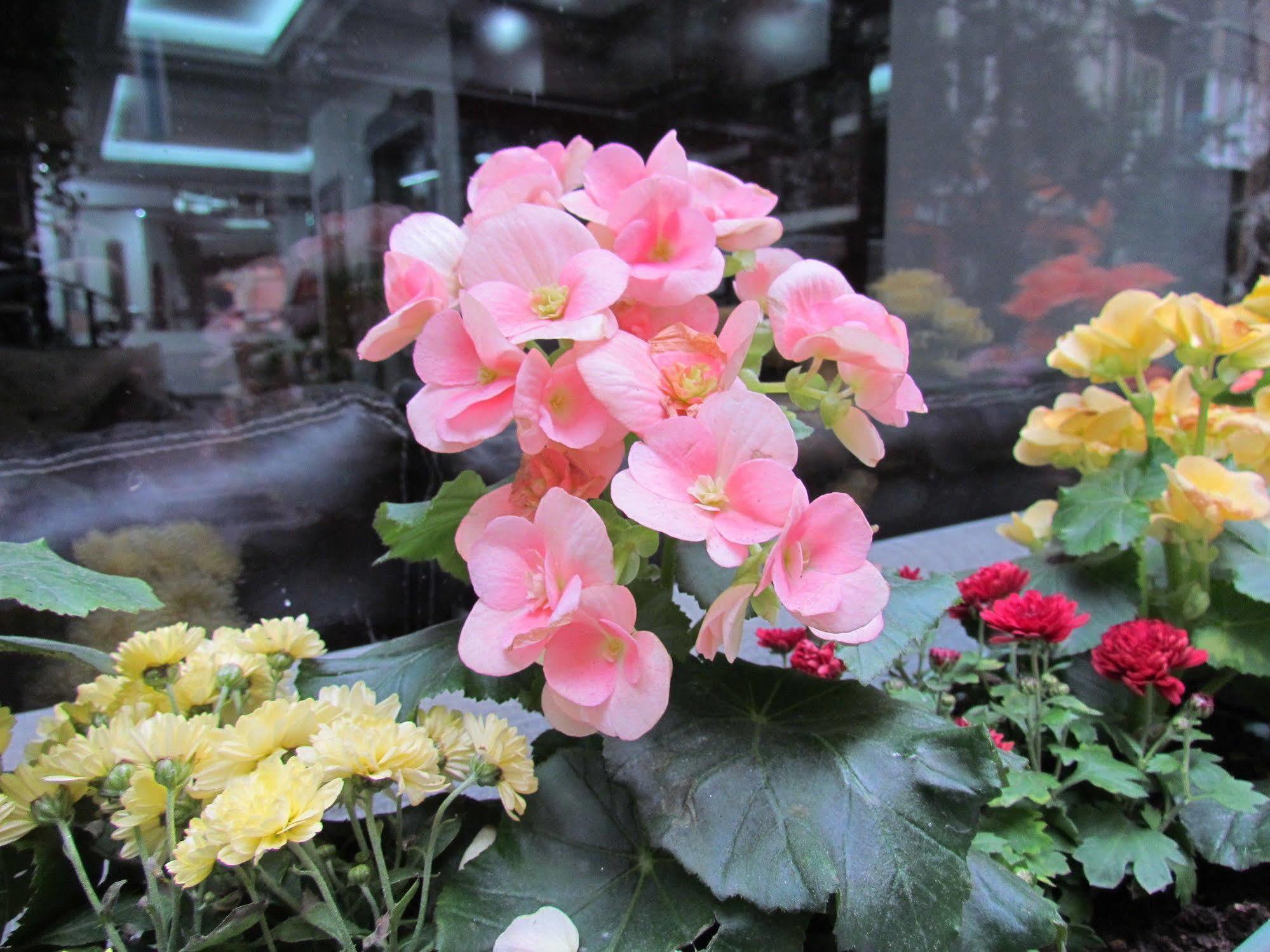 Promise Hotel Istanbul Bagian luar foto
